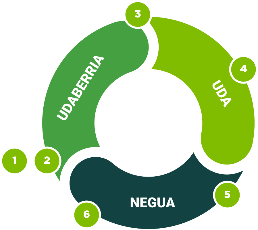 graph-prozesua